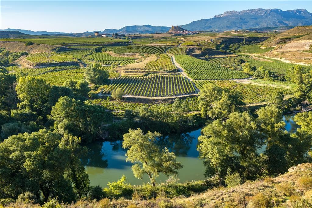 , Letecký poznávací zájazd, Mestá pod Pyrenejami, vinice, Logrono