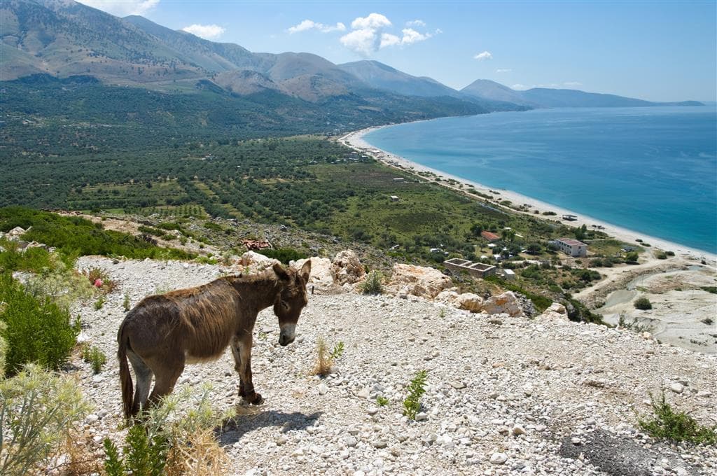 Poznávacie zájazdy , Veľký okruh Balkánom s Dubrovníkom, Albánsko