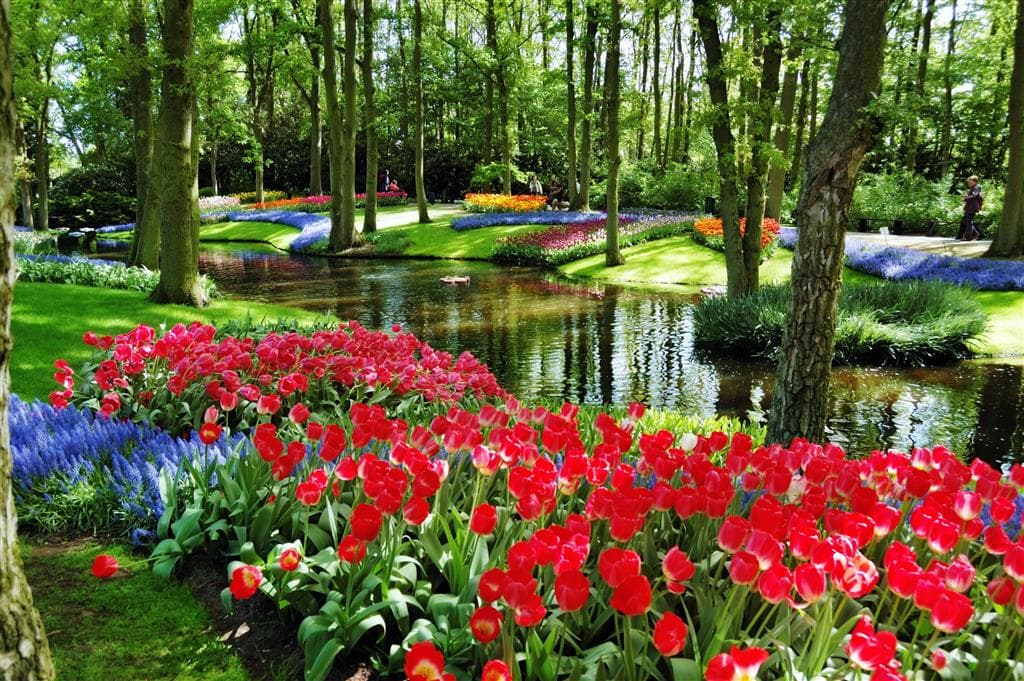 , Letecký poznávací zájazd, Holandská tulipánová cesta, Keukenhof