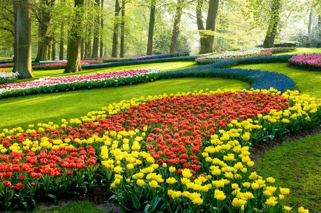 , Letecký poznávací zájazd, Holandská tulipánová cesta, Keukenhof
