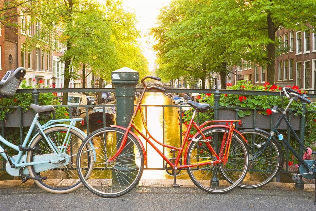 , Letecký poznávací zájazd, Holandská tulipánová cesta, Amsterdam