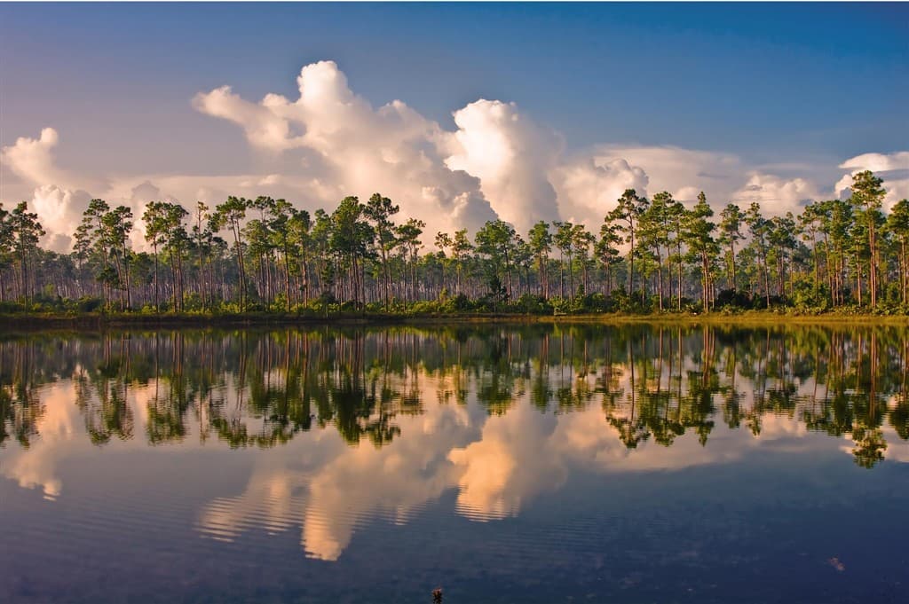 FLORIDA: štátom slnka a pláží