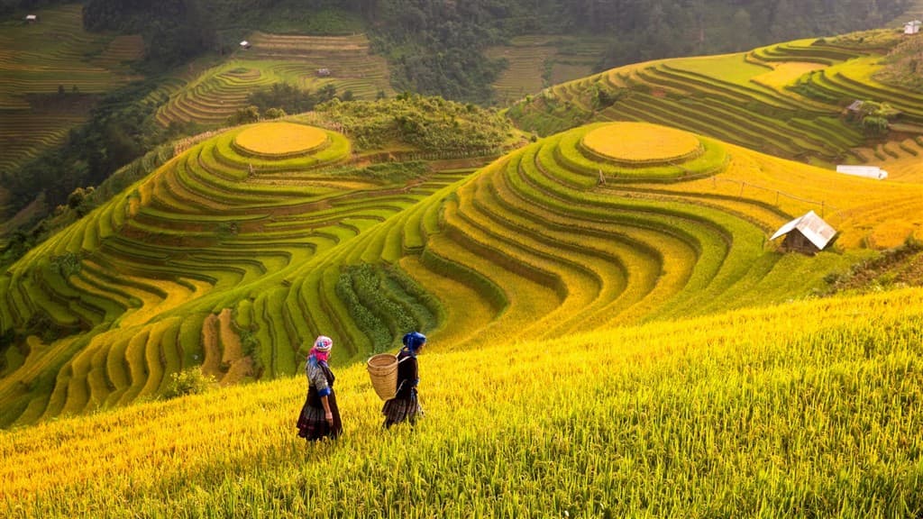 Hory a ostrovy Severného Vietnamu