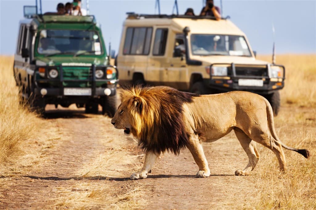 Keňa - z Nairobi do Mombasy národnými parkami