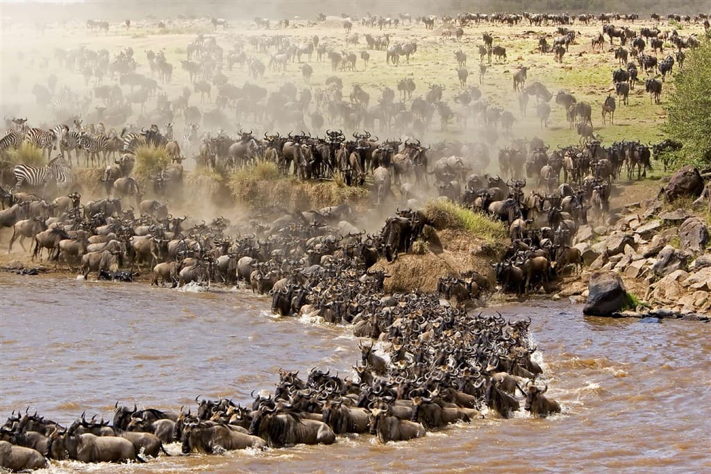 Keňa - z Nairobi do Mombasy národnými parkami