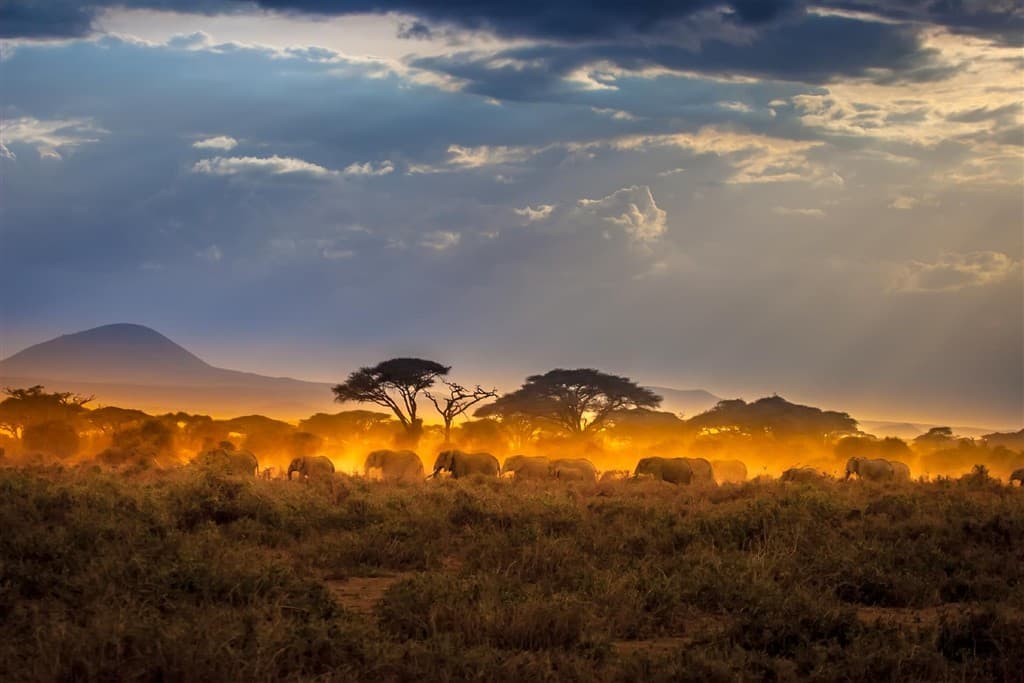 Keňa - z Nairobi do Mombasy národnými parkami