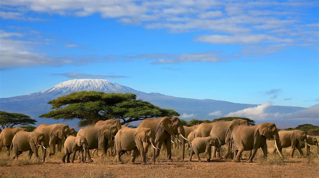 Keňa - z Nairobi do Mombasy národnými parkami