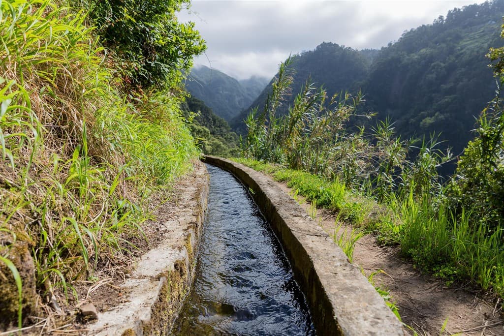 Madeira za poznaním