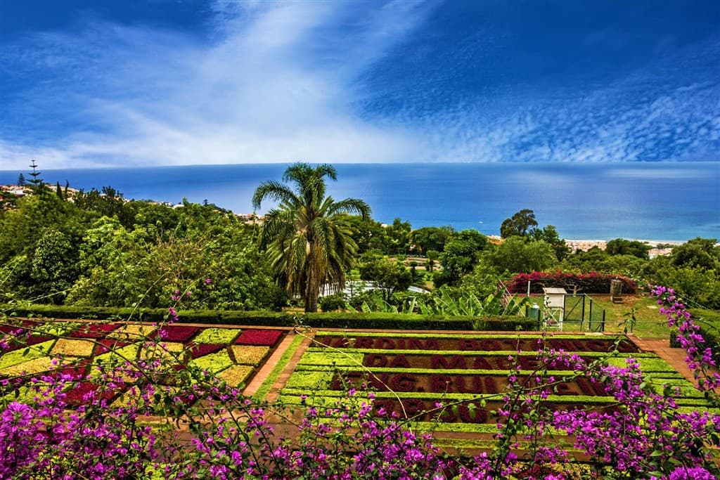 Madeira za poznaním