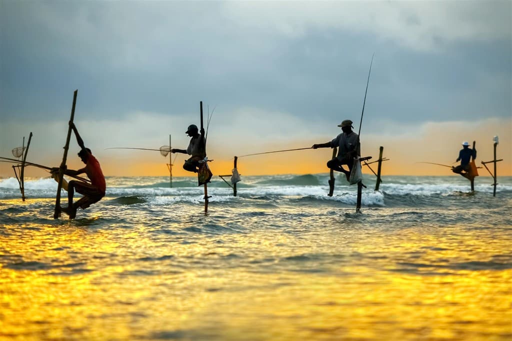 India - Srí Lanka