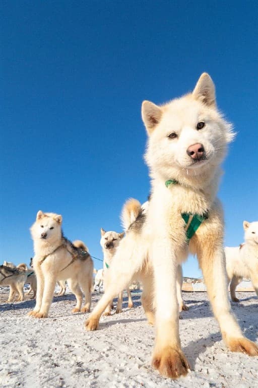 Grónsko - ľadovce a mýty Inuitov