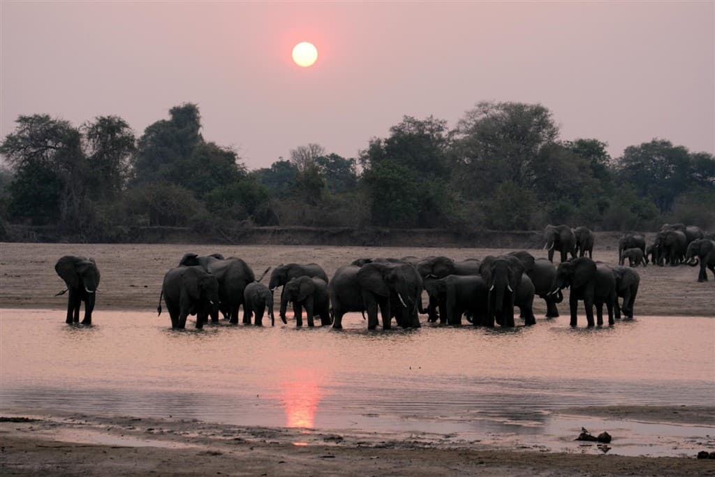 Zambia - Malawi