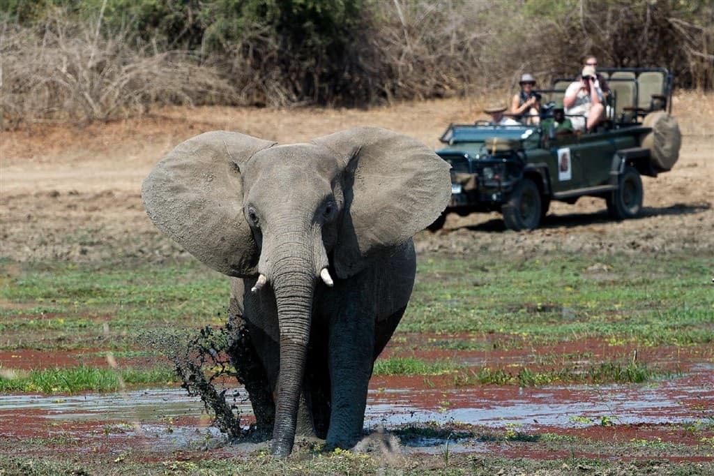 Zambia - Malawi
