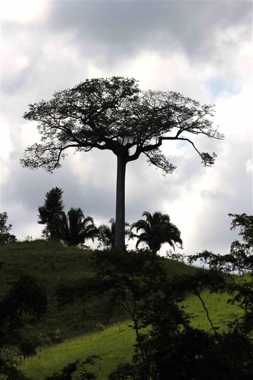 Guatemala - Honduras - Belize - Mexiko