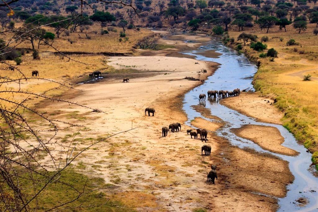 Tanzánia: africké drámy kolobehu života s českým sprievodcom