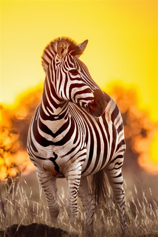 Jock Safari Lodge ****, Kruger National park
