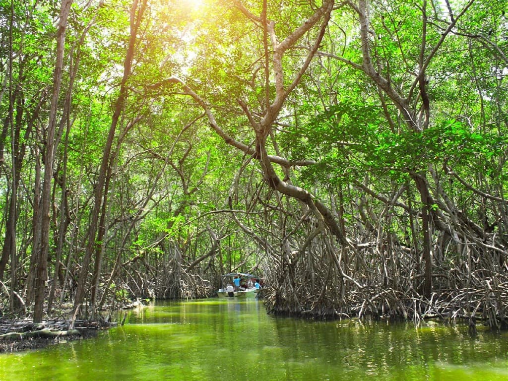 Yucatán & Holbox