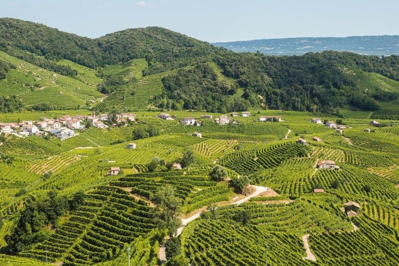Valdobbiadene, rodisko Prosseca, Tiramisu v Trevise, šach v Marostice a romantika v Asole