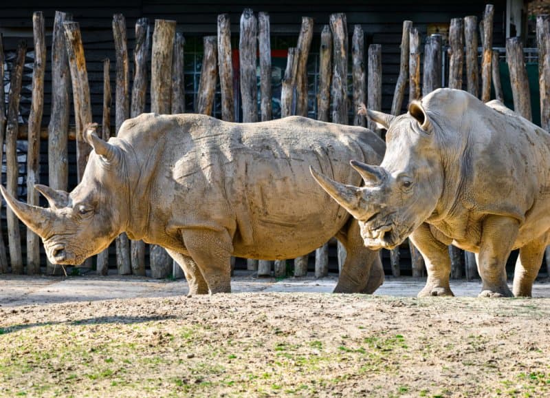 Nádherná ZOO Zlín a zámok Lešná