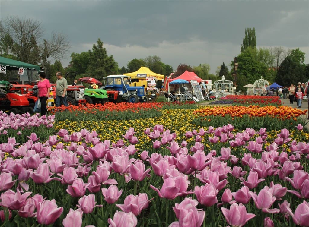 Flora Olomouc