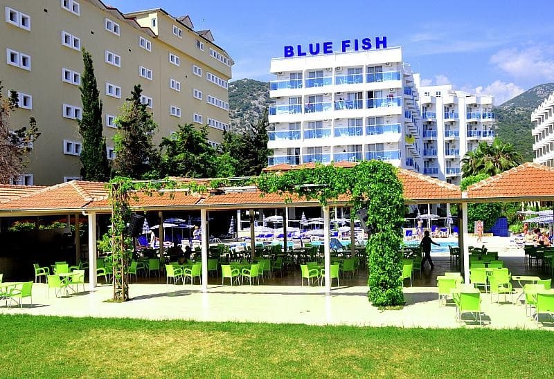 Blue Fish