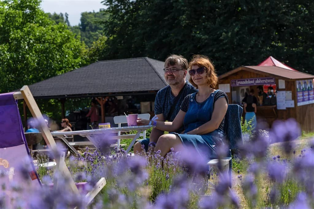 Levanduľový festival na Morave a mesto fontán Olomouc